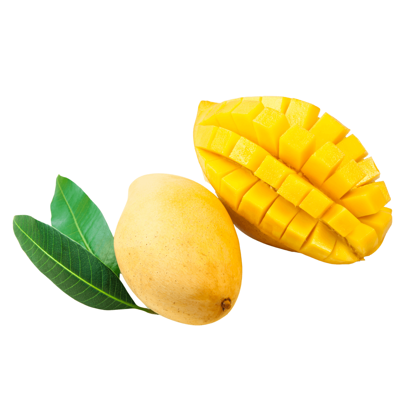 mango main 1